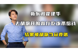 宁夏宁夏的要账公司在催收过程中的策略和技巧有哪些？